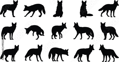 Fox animal silhouette collection, wild forest mammal poses vector illustration, wildlife predator standing walking sitting isolated nature design set