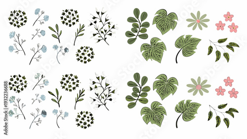 Botanical illustration featuring various leaves stems and delicate pink flowers