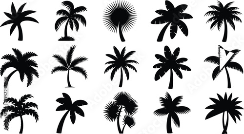 Tropical palm tree silhouette collection, exotic beach plants vector illustration, summer island nature landscape elements, coconut trees isolated design