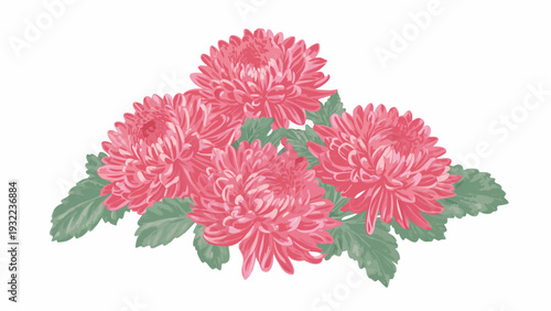A vibrant illustration of several blooming fully open red chrysanthemums