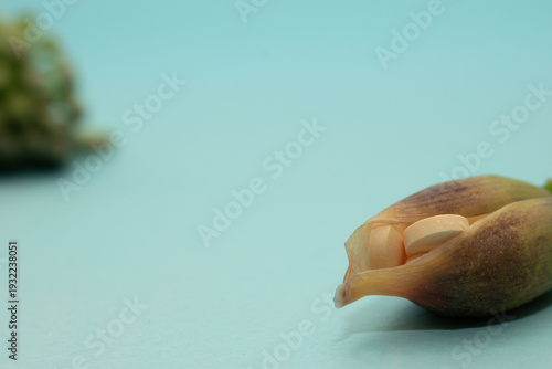 Soft healthcare composition combining tablets with floral bud suggesting healing, growth and wellness. Ideal for medical branding and advertising visuals.