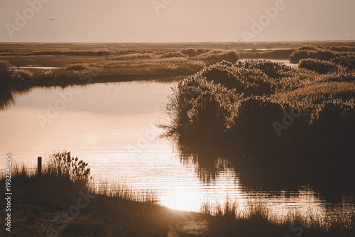 sunlight reflecting off the water with gold backlight in the Bear River Bird Refuge