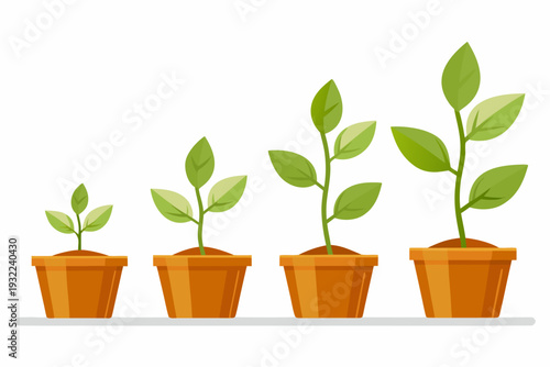 Illustration depicting plant growth stages from seedling to mature plant