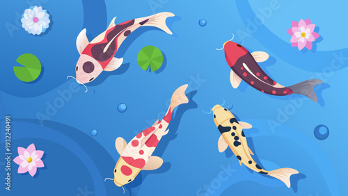 Colorful koi fish swim amongst lily pads in a serene pond