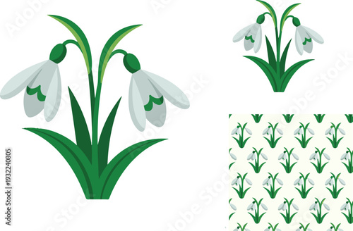 White snowdrop flowers for spring season and nature garden background