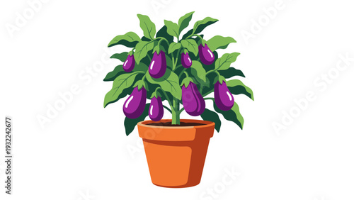 Eggplant Plant in Pot Vector Illustration, Growing Organic Vegetables, Healthy Food Concept, Garden Design Element