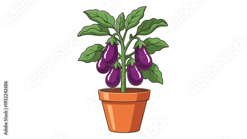 Eggplant Plant in Pot Vector Illustration Growing Fresh Organic Vegetables Isolated on White Background for Healthy Eating and Gardening Concepts