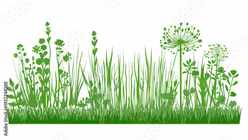 A vibrant collection of green grasses wildflowers and delicate floral arrangements