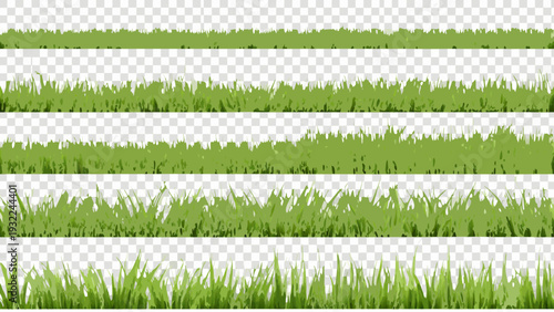 Rows of green grass blades against a transparent background
