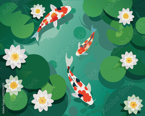 Colorful koi fish swim amongst white water lilies and green lily pads