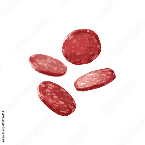 A couple of Salami Vector Illustrations. Realistic Salami Sausages Clipart for Culinary Design. Deliciously detailed vector art featuring a pair of salami slices.