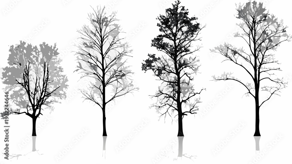 Fototapeta premium Four stylized trees with varying densities against a white background
