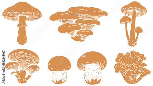 Set of elegant mushroom illustrations in orange tone