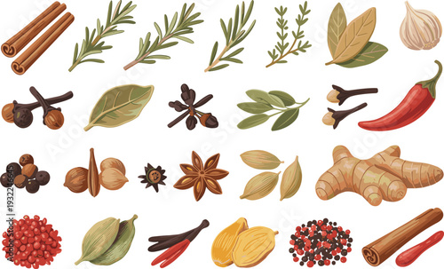 Flat vector spice and herb collection with cinnamon, rosemary, garlic, chili, cardamom, ginger and peppercorn