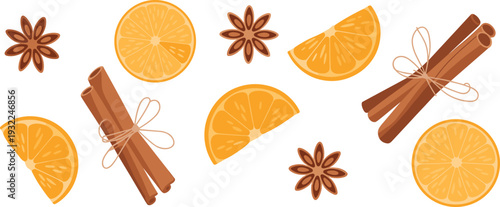 Flat vector illustration of orange slices, cinnamon sticks and star anise spices isolated on light background decorative set