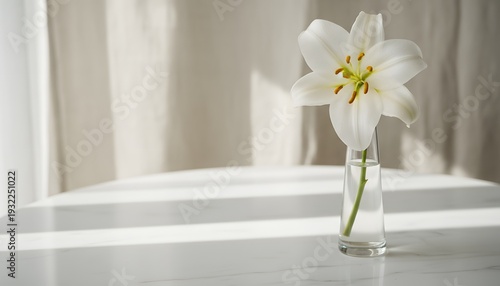 Elegant white lily flower blooming in a clear vase, casting shadows on a marble table, embodying a serene purity and Easter celebration concept