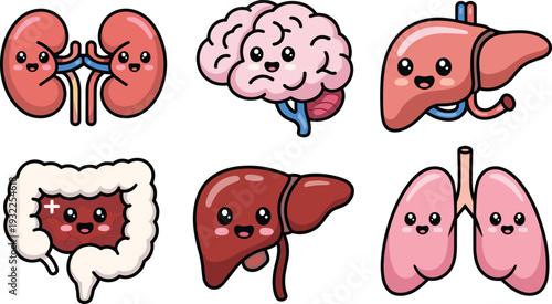 Cute human organ cartoon set, kidney brain liver lungs intestine kawaii medical anatomy character vector illustration collection