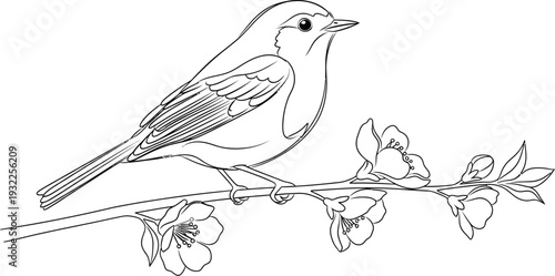 Detailed line art illustration of a small bird perched on a blooming spring branch with delicate flowers and unfurling buds.