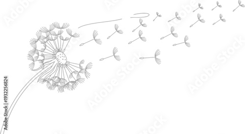 Simple black and white line art illustration depicts dandelion seeds blowing away across a clean white background