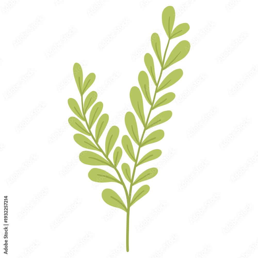 Fototapeta premium Hand Drawn Minimalist Green Leaf Branch Botanical Illustration Transparent Background