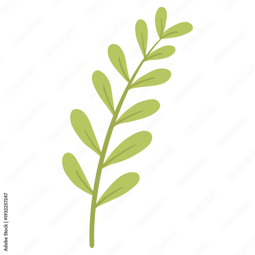 Obraz premium Hand Drawn Minimalist Green Leaf Branch Botanical Illustration Transparent Background
