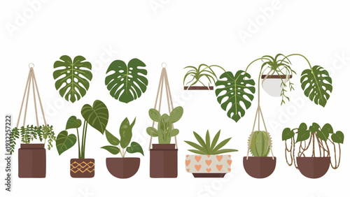 A collection of vibrant green houseplants in decorative pots