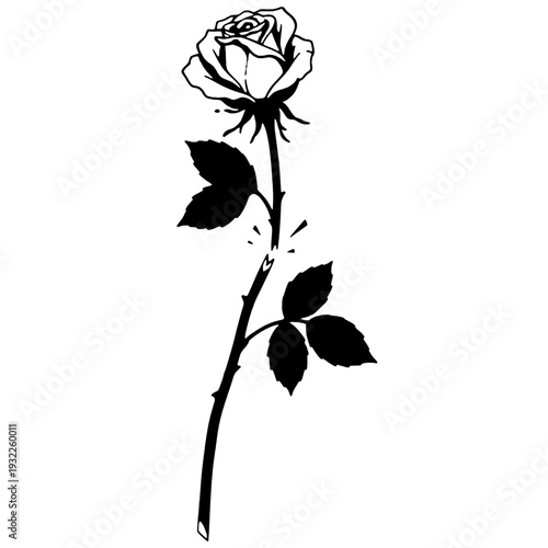 Broken rose silhouette