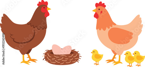 Cute Cartoon Illustration of Brown and Orange Hens with a Nest of Eggs and Small Yellow Chicks Representing Farm Poultry Life Cycle and Agriculture