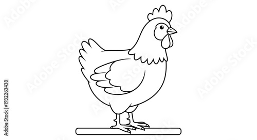Hen Standing On A Line.