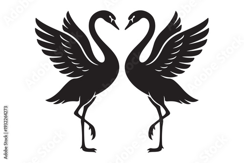 two goose showing love symbol