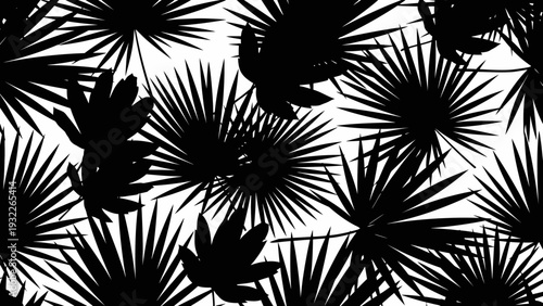 Black Palm Tree Leaf Silhouettes.