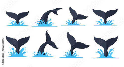 Set of Whale Tails Diving into Water Splashes Vector Illustration. Vector Illustrations. EPS Editable