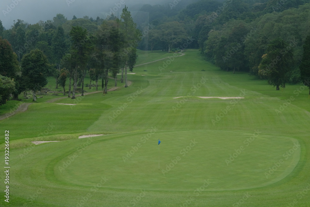 Obraz premium Green Golf Fields with Trees on the Horizon in Misty Overcast Landscape