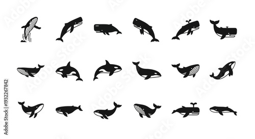 Collection of various whale and dolphin silhouettes jumping and swimming in different directions on a clean background