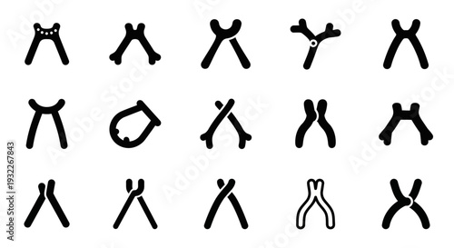 Collection of Various Chromosome Illustrations Depicting Different Stages and Configurations in Genetics and Biology Studies