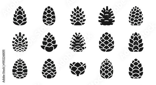 Collection of pine cones in various shapes and sizes illustrated in a grid pattern