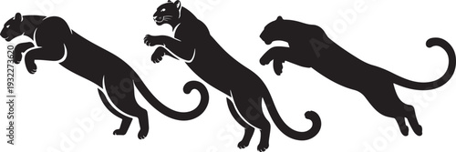 Three powerful black panther silhouettes gracefully depicted in various jumping and pouncing action poses