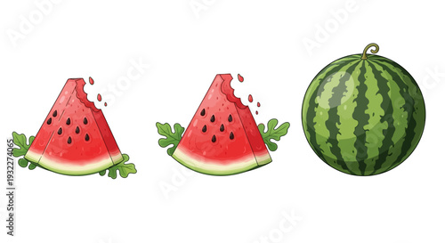 Juicy watermelon slices and whole fruit in cartoon style