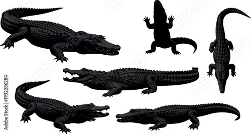 Black Silhouette Collection of Alligators and Crocodiles, Detailed Reptile Illustrations, Predatory Swamp Animals, African Nile Crocodile, American Alligator Vector Set,