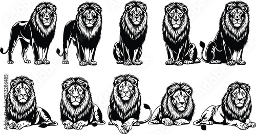 Vintage Woodcut Style Set of Lion Illustrations and Silhouettes Featuring Detailed Manes in Standing Sitting and Lying Poses for Wildlife Branding and Nature Graphics