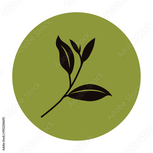 シンプルなお茶の葉のアイコン　新茶