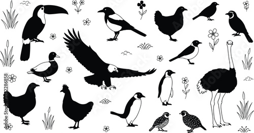 Bird Silhouette Collection with Toucan Eagle Ostrich Penguin Duck and Farm Birds, Black Wildlife Vector Illustration Set