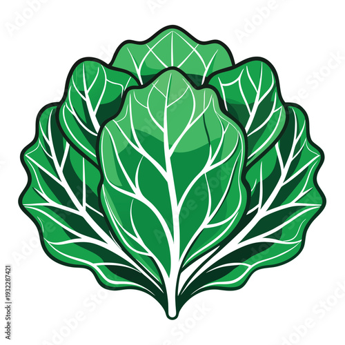 line art of collard greens vector