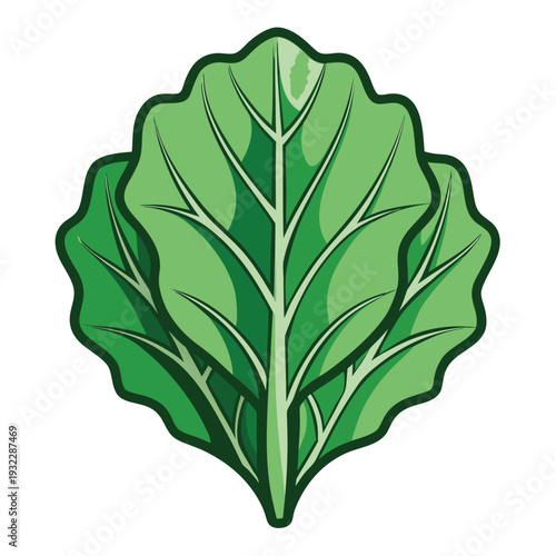 collard greens line art vector