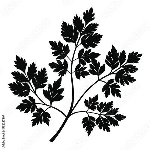 chervil silhouette vector