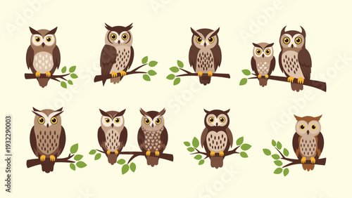 Set of cute owl illustrations depicts birds of different sizes perched on leafy branches against a pale yellow background.