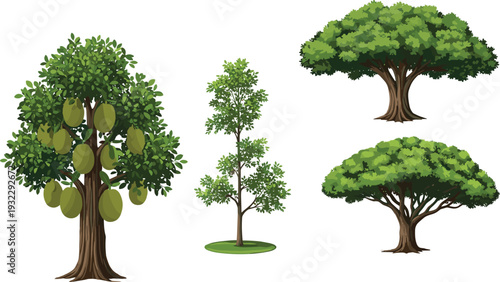 Fruit and leafy tree illustration set including jackfruit tree and green forest trees isolated on white background for nature design