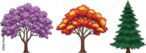 Vibrant Cartoon Trees Set: Purple Flowering Jacaranda, Colorful Autumn Foliage, Green Evergreen Pine Isolated on White Background