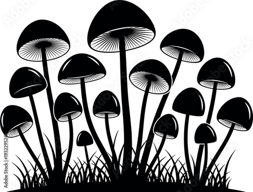 Black silhouette of wild mushrooms in grass, forest fungi group, organic nature element, toadstool vector illustration isolated on white background,