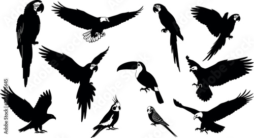 Black silhouette of ants collection, various insects positions, small garden pests, colony worker 